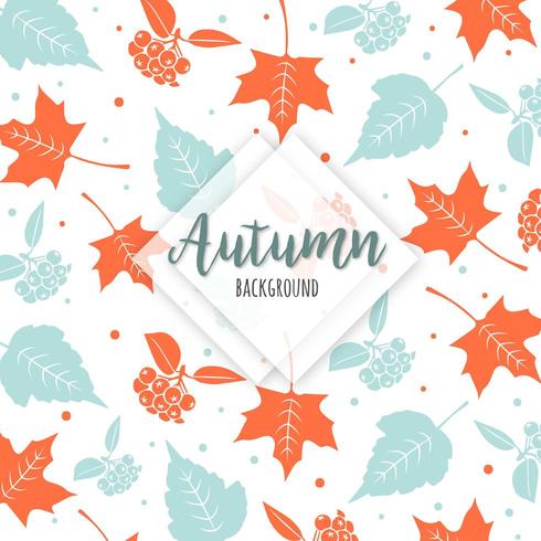 Beautiful Autumn Colorful Leaves Background vector