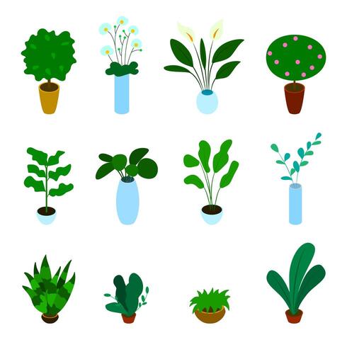 Isometric vector set of potted plants