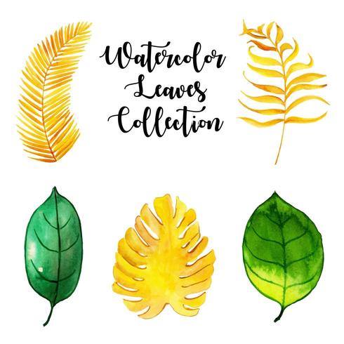 Watercolor Leaves Collection vector