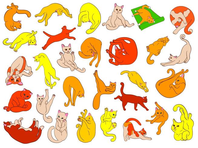 Conjunto de gatos lindos dibujados a mano. vector