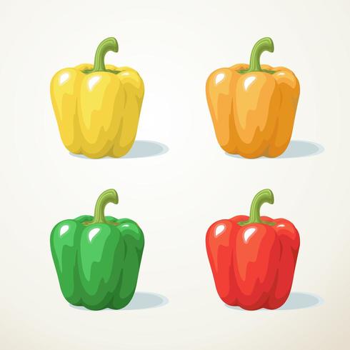 Colorful  Sweet pepper set vector