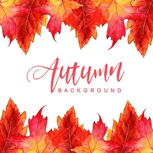 Watercolor Autumn Leaves Background vector