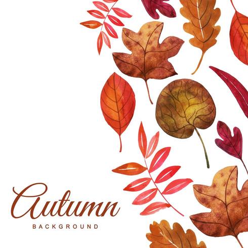  Autumn Leaves Background vector