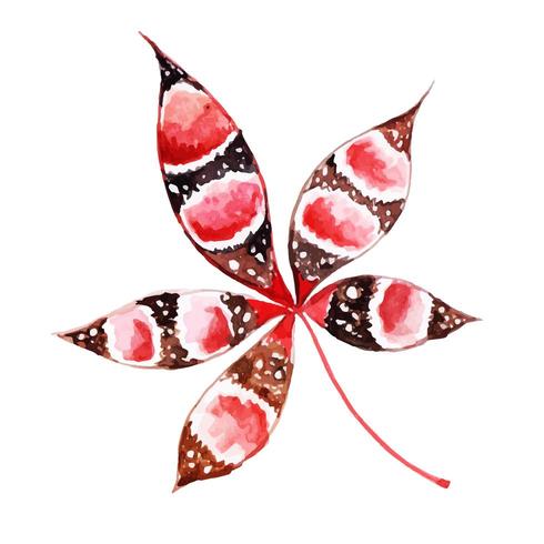 Tribal Autum Leaf Watercolor vector