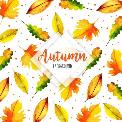 Changing Fall Leave Pattern vector