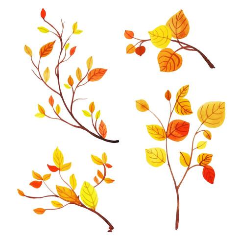 Beautiful Watercolor Autumn Leaves Collection vector