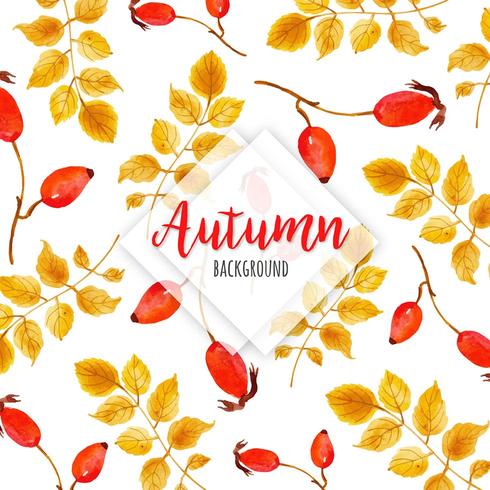  Autumn Leaves Pattern  vector