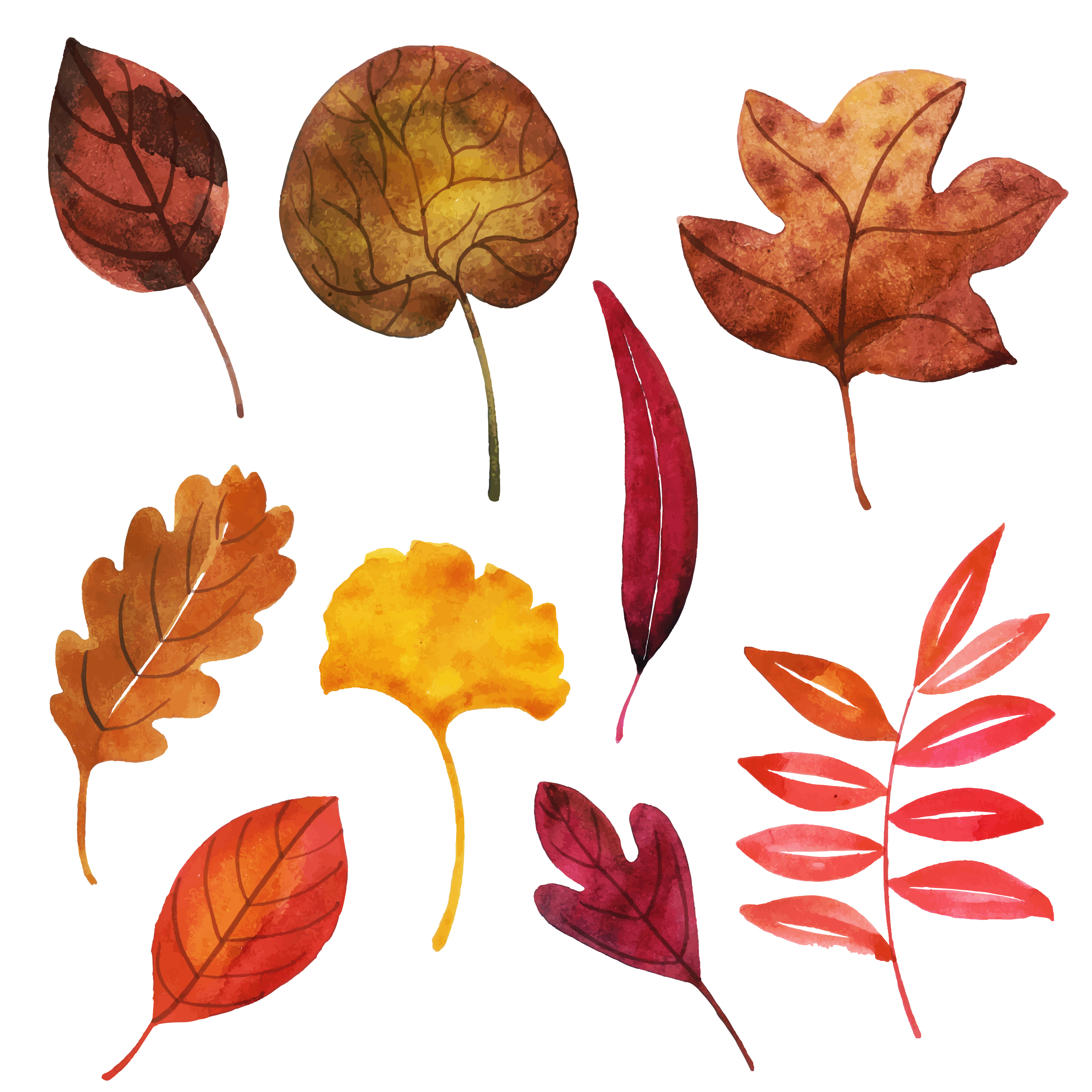 Fall Leaves Collection 677413 Vector Art at Vecteezy