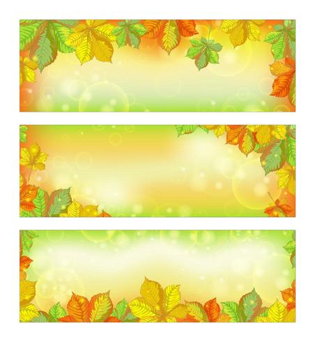 Conjunto de banners horizontales otoñales con hojas de castaño caídas vector