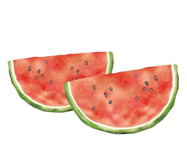 Cut watercolor watermelons  vector