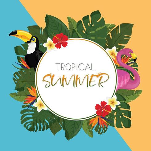 Tropical summer round frame design vector