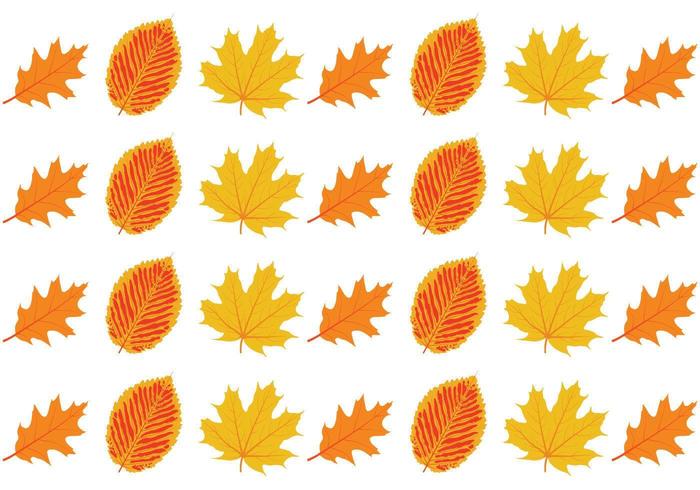 Pattern leaf autumn set vector