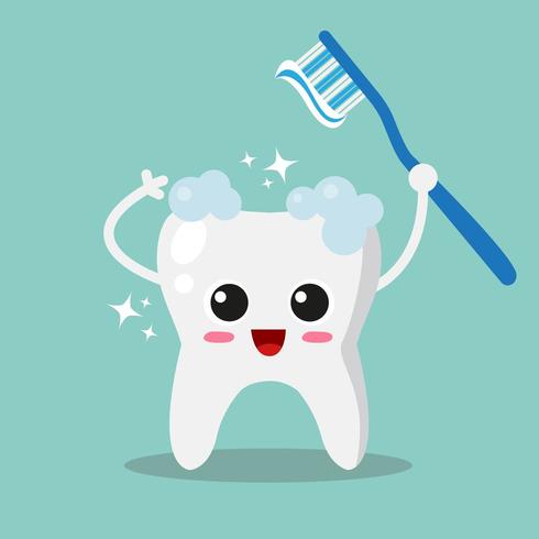 Tooth brushing with toothbrush  vector