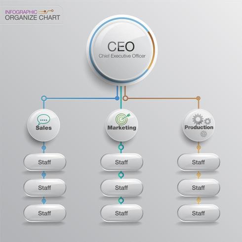 Organigrama de estructura empresarial vector