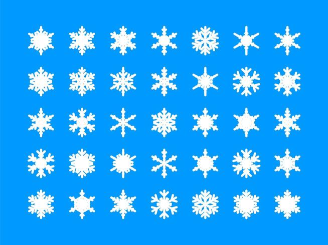 White snowflakes collection vector