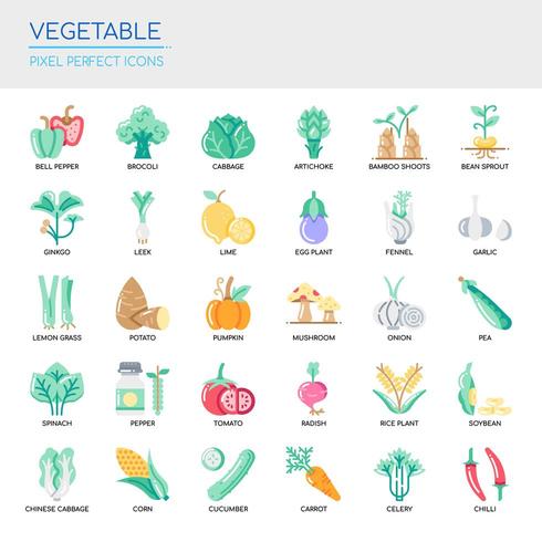 Conjunto de iconos de líneas finas vegetales y píxeles perfectos para cualquier proyecto web y de aplicación. vector