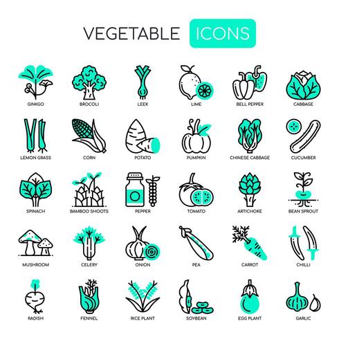 Conjunto de iconos de líneas finas vegetales y píxeles perfectos para cualquier proyecto web y de aplicación. vector