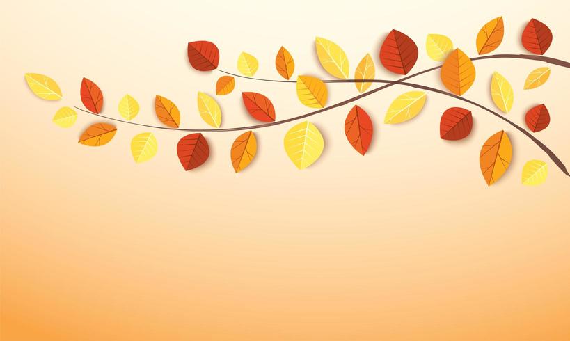 Tree Branch With Autumn Leaves  vector