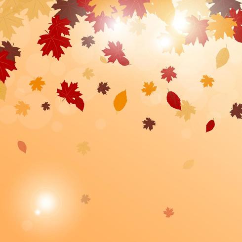 Autumn leaves Falling  vector