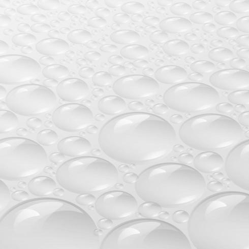 Close up 3d clear bubble pattern  vector