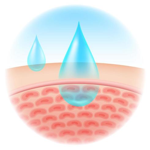 Gotas de humedad que absorben la piel. vector