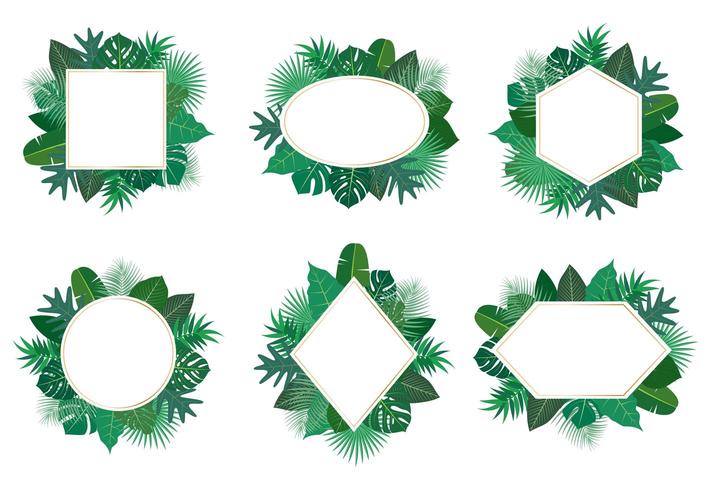 Collection of exotic tropical leaves frame set vector