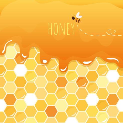 Sweet honey glossy background with copy space  vector