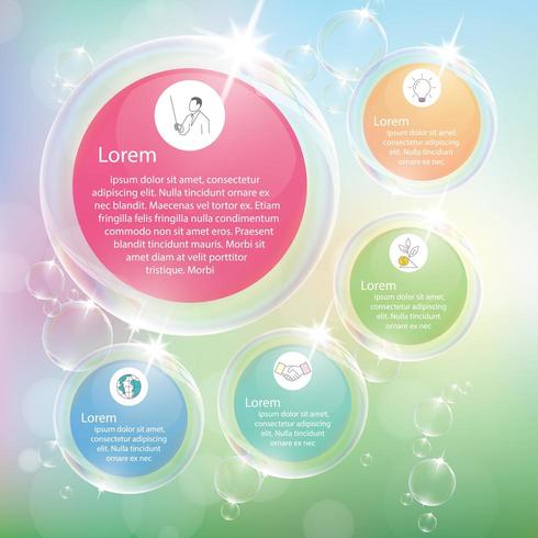 Transparent bubbles infographic with pastel color. vector