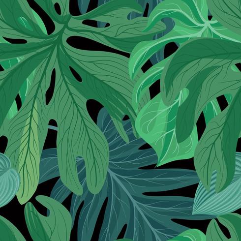 . Tropical leaves background vector