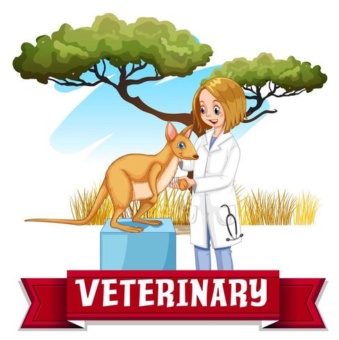 Female vet examining kangaroo in the park vector