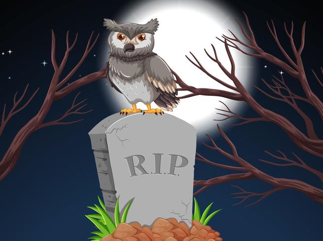 An owl on tombstone at night vector