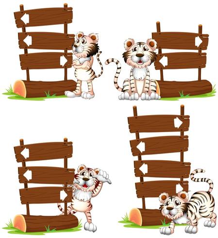 White tiger with wooden signs vector