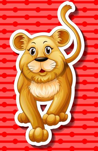 Little lion cub walking vector