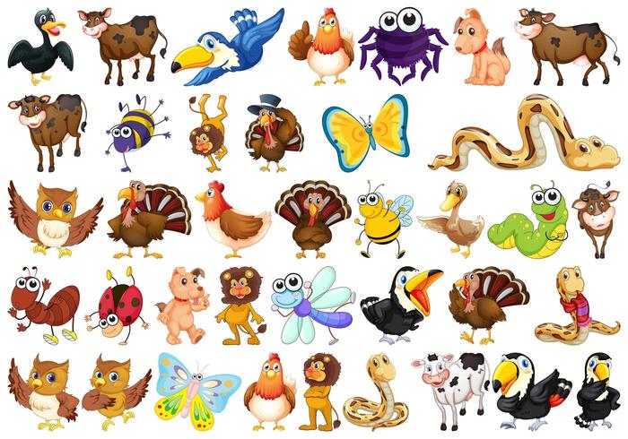 Set of wild animal vector