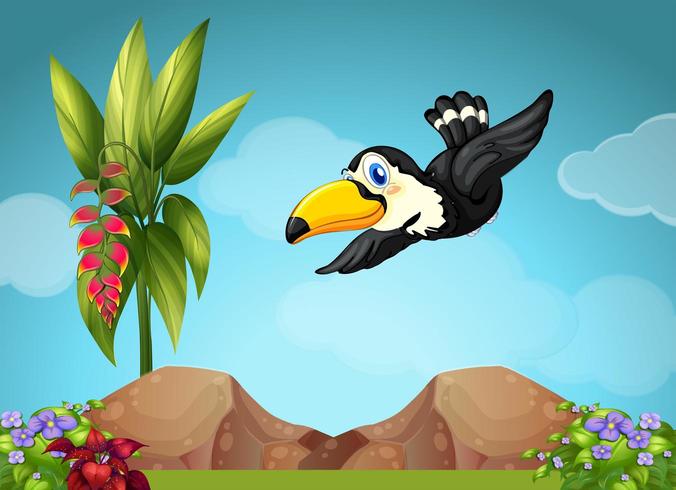 Toucan flying in the garden vector