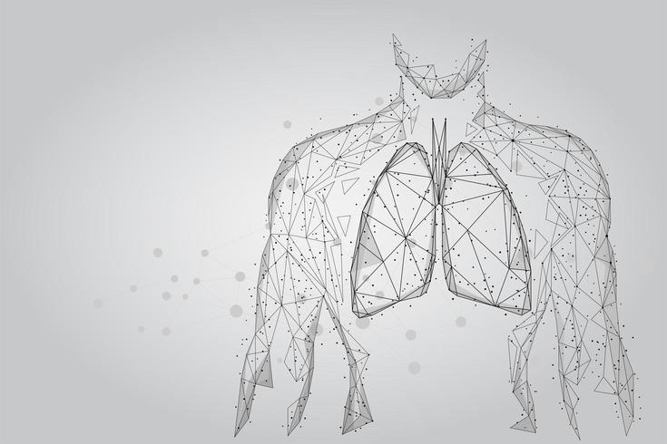 Hombre silueta pulmones sanos puntos conectados vector