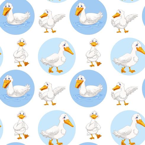 Seamless duck walking and swimming vector