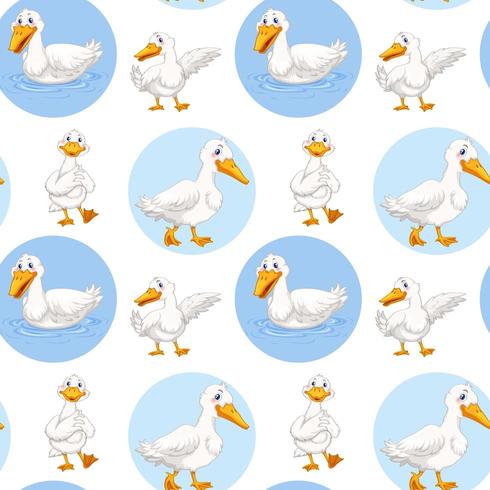 Seamless duck walking and swimming vector