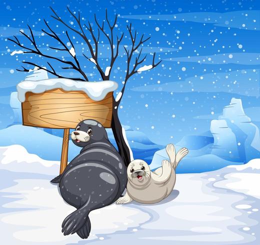 Two seals on snowy day vector