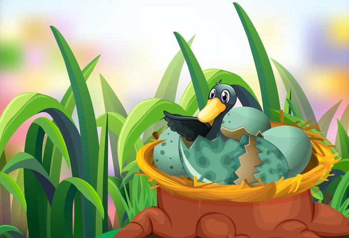 Garden scene with ducks hatching eggs vector