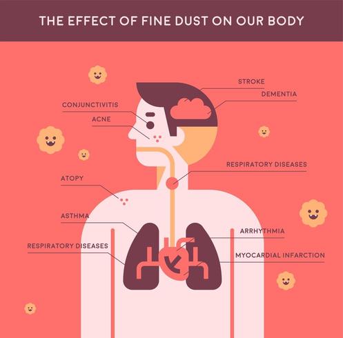 Information illustration showing the effect of fine dust on the human body.  vector