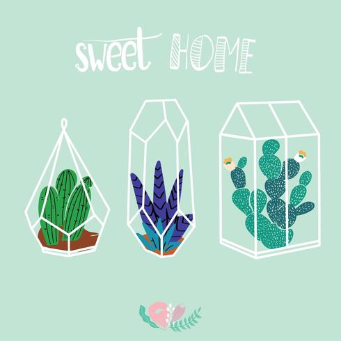 Scandic style succulents cactuses  vector