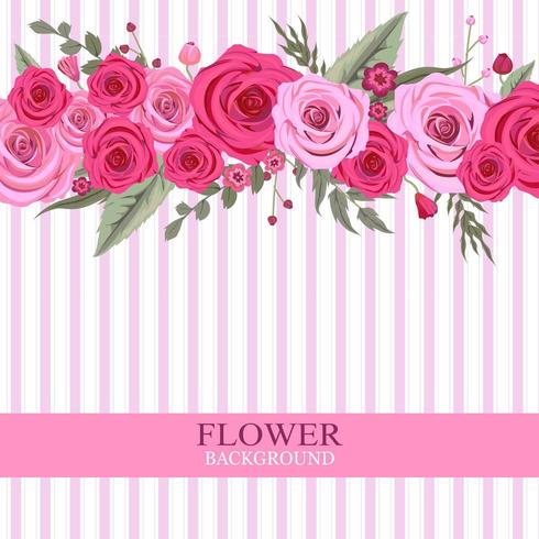 Pink Rose Flower Background vector