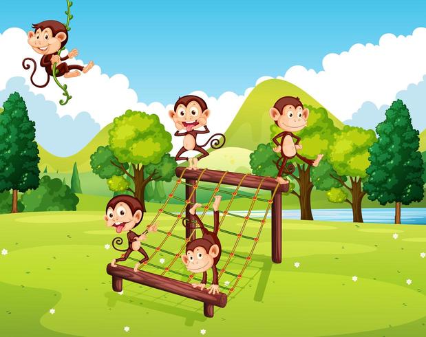 Monkeys playing on climbing station  vector