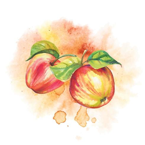 Ripe apples in watercolor vector