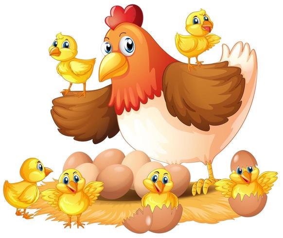 Jpg Library Chicken Nest Clipart - Desenho De Galinha Colorido PNG Image