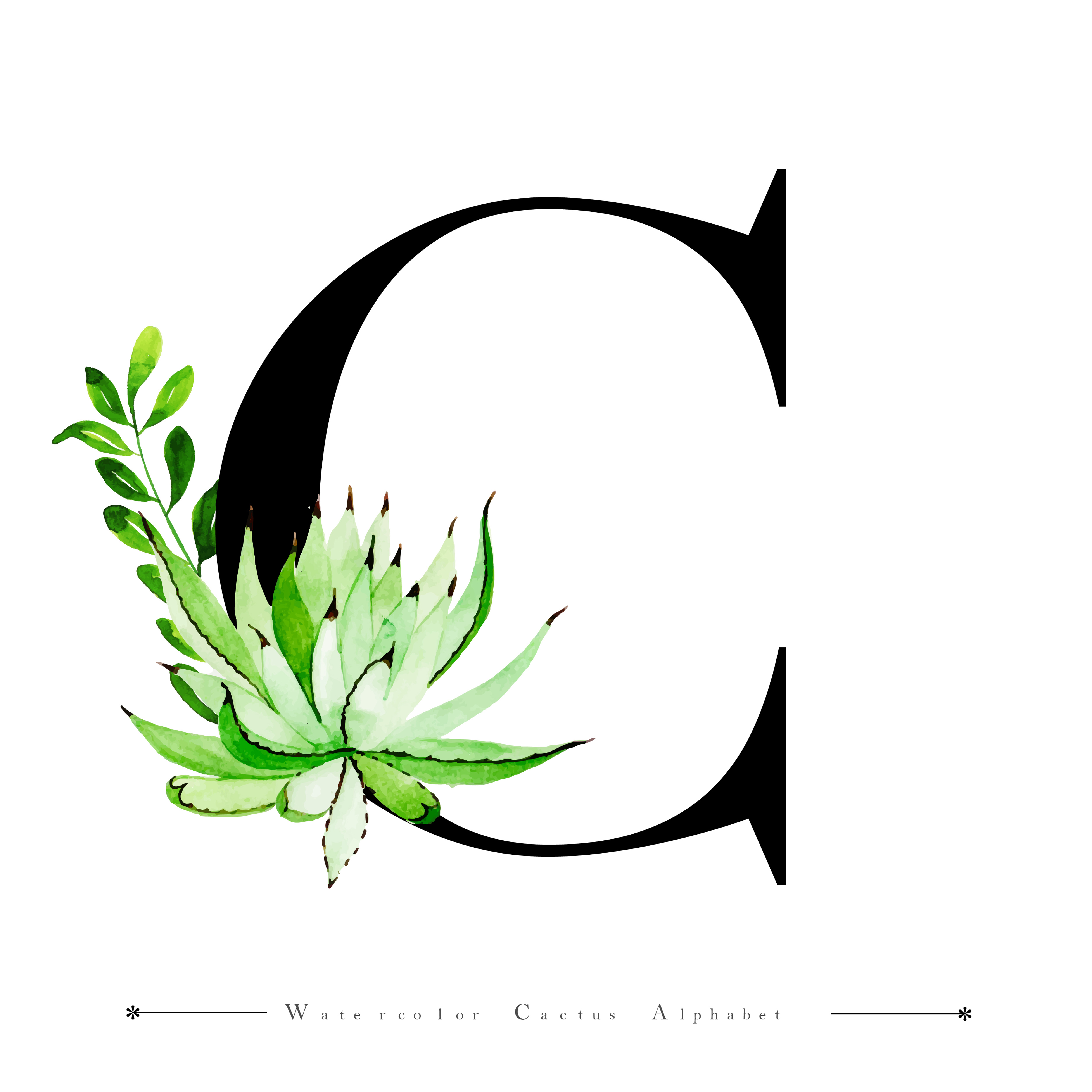 Alphabet Letter C with Watercolor cactus and Leaves 684768 ...