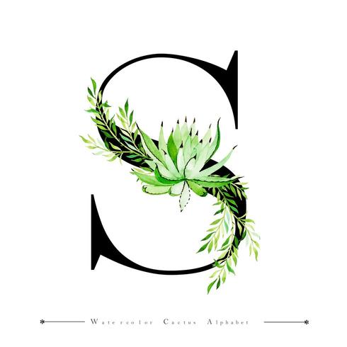 Alphabet Letter S with Watercolor cactus and Leaves  vector