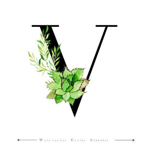 Alphabet Letter V with Watercolor cactus and Leaves vector