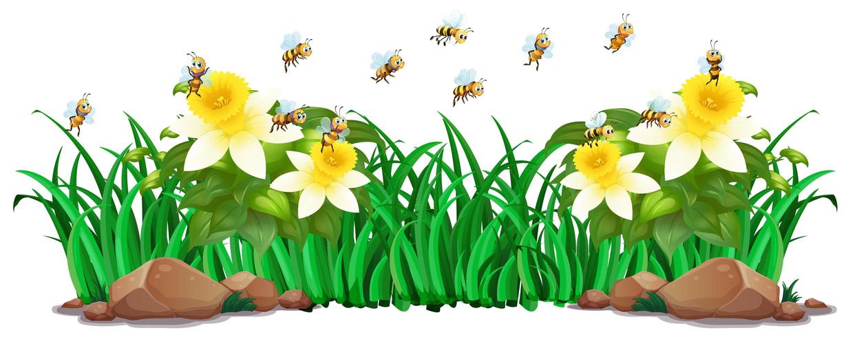 Garden scene with flowers and bees vector